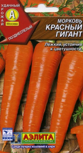 Морковь.Новинки моркови сегодня.